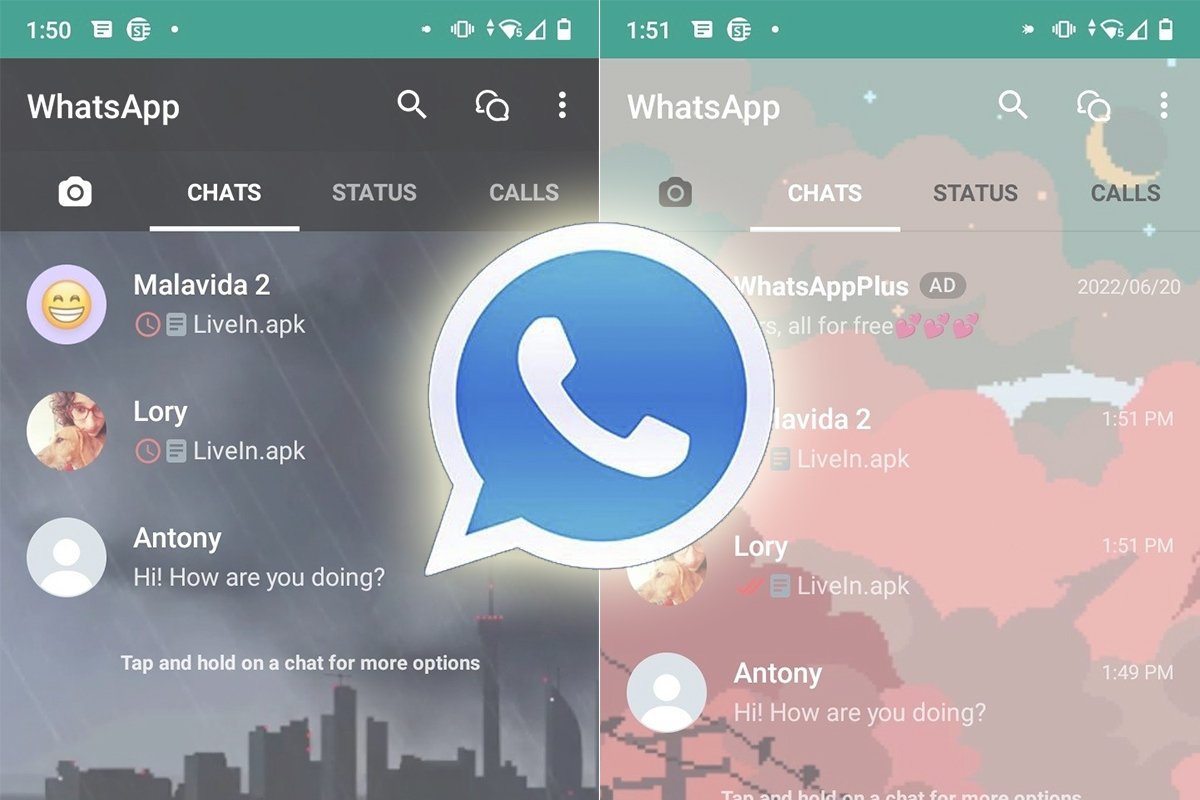 How to Check WhatsApp Online Status Quickly? Digital Planet Supports Batch Checking